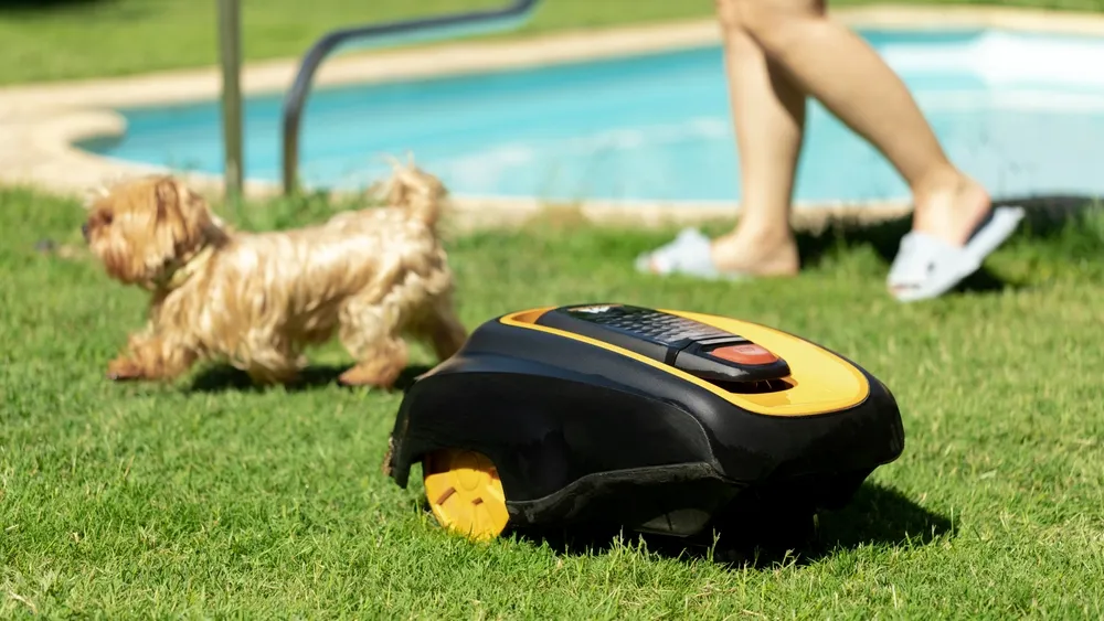 Lawn Mower Robots: Time-Saver or Overrated?