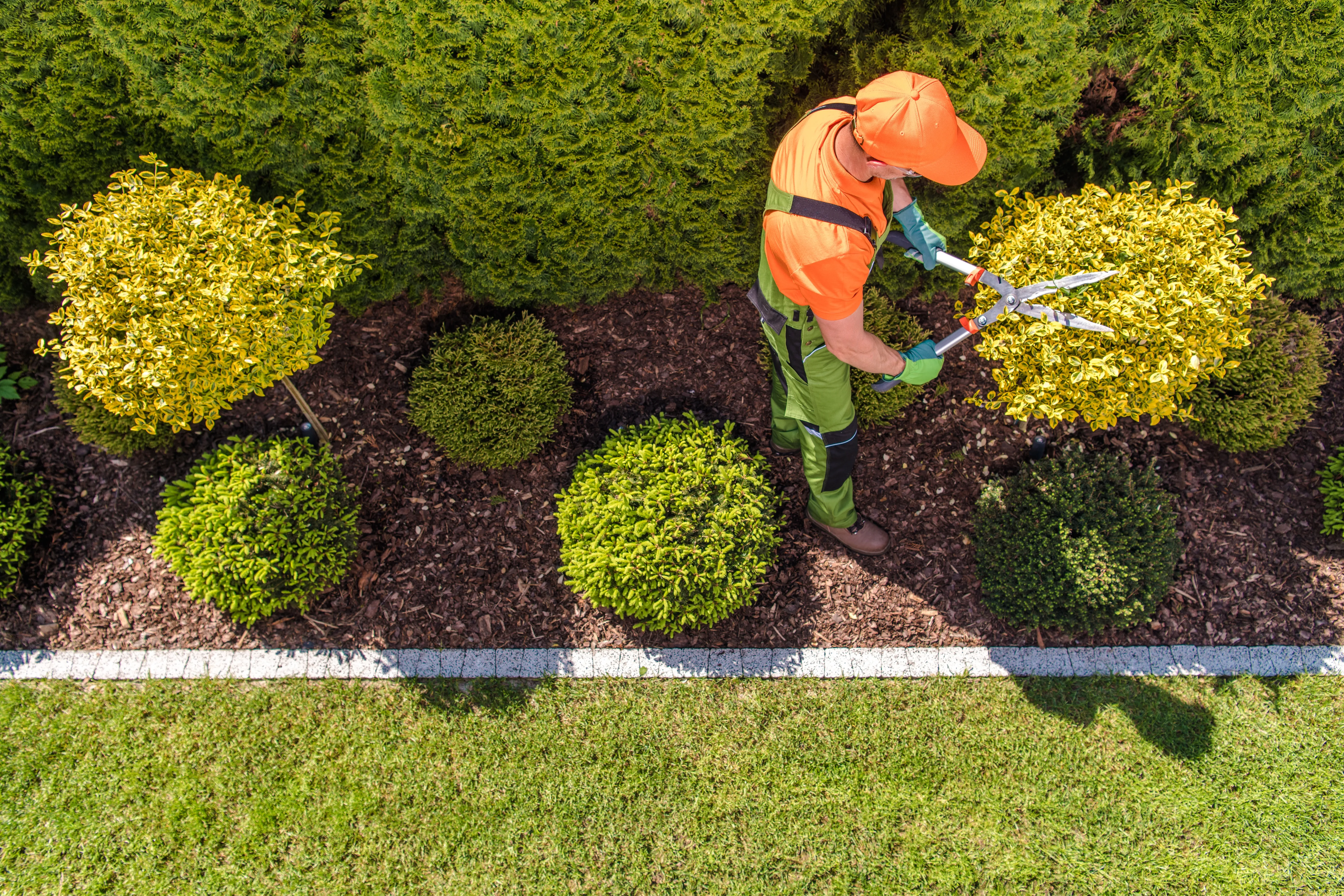 The Cost of Professional Lawn and Landscaping Services