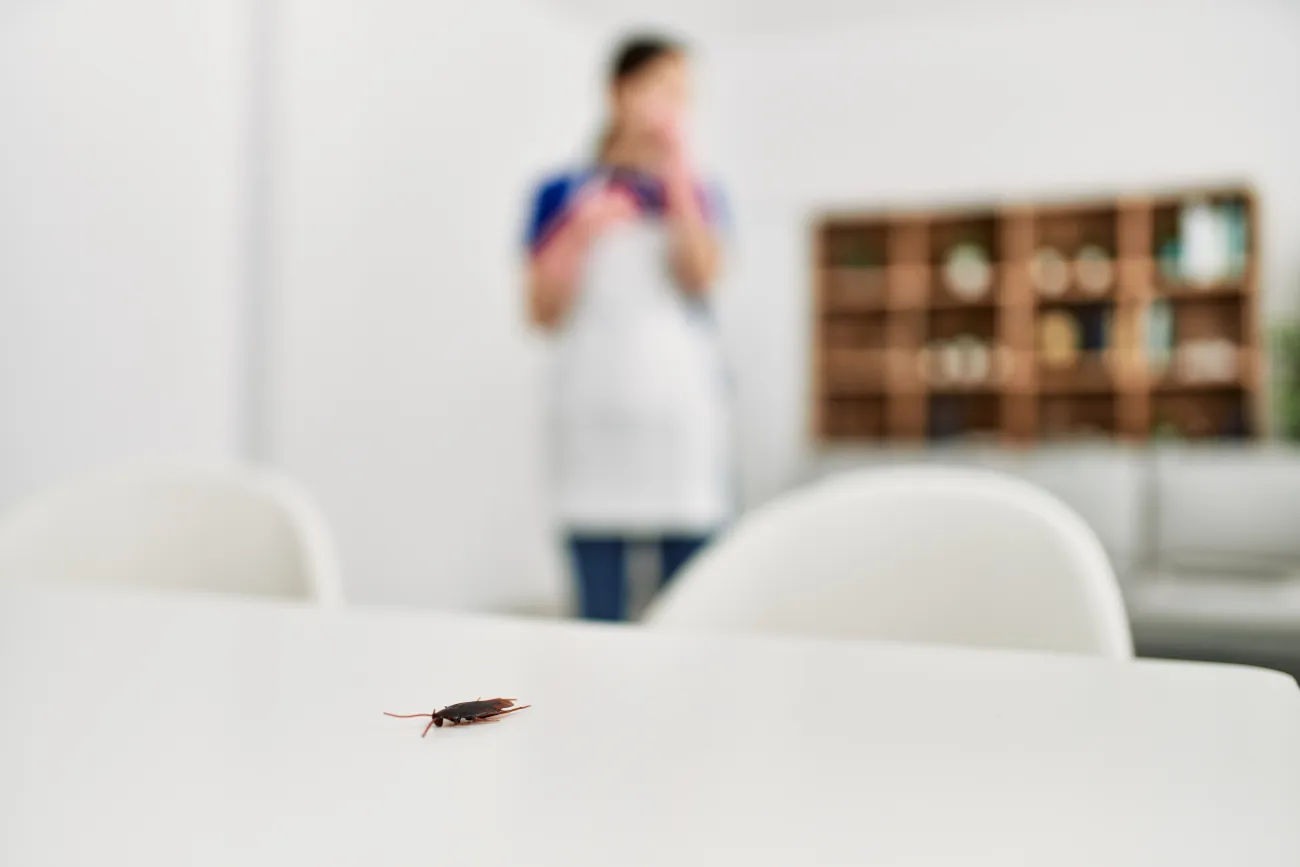 Understanding the Different Methods of Roach Extermination