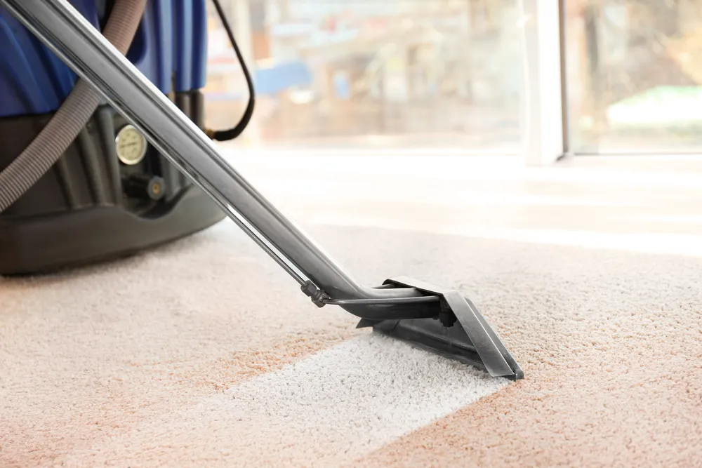 The Benefits of Professional Carpet Cleaning Services