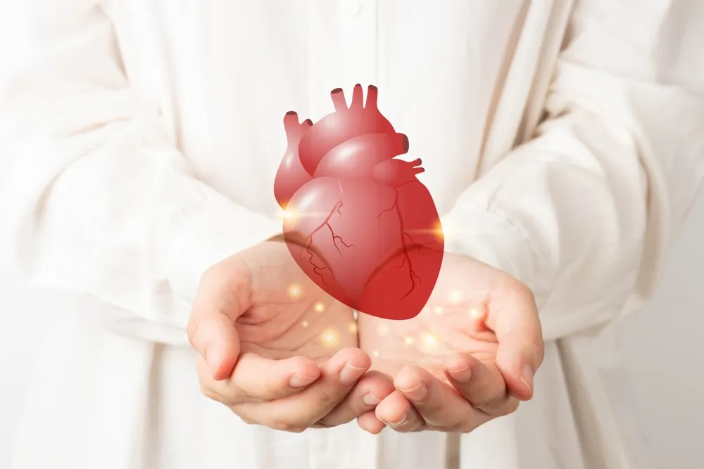 Struggling With Congestive Heart Failure? Find out About These New Treatments