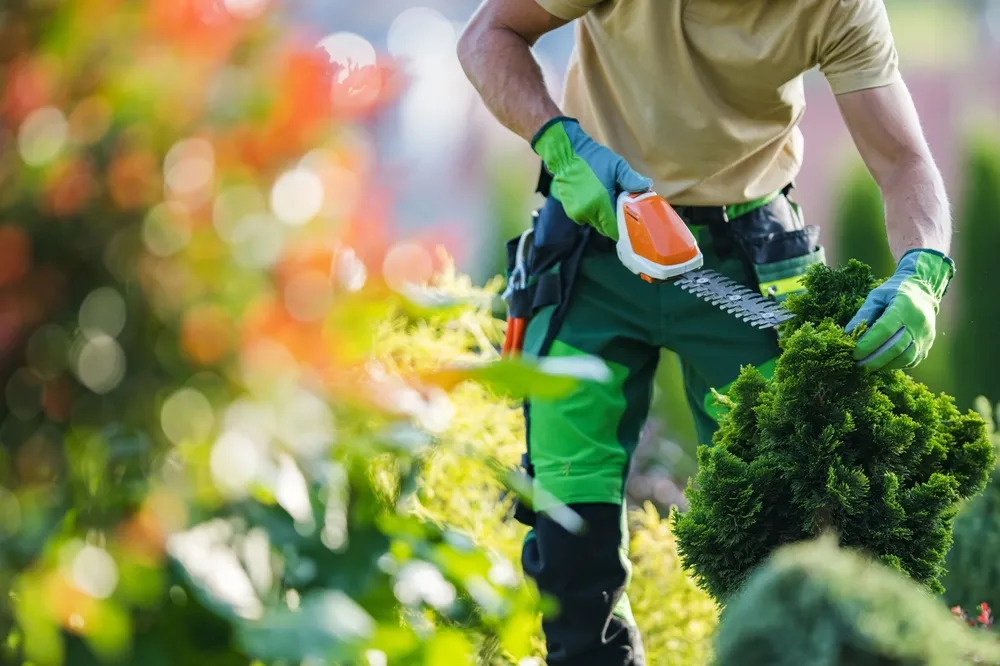 Hiring Landscaping Experts in San Jose