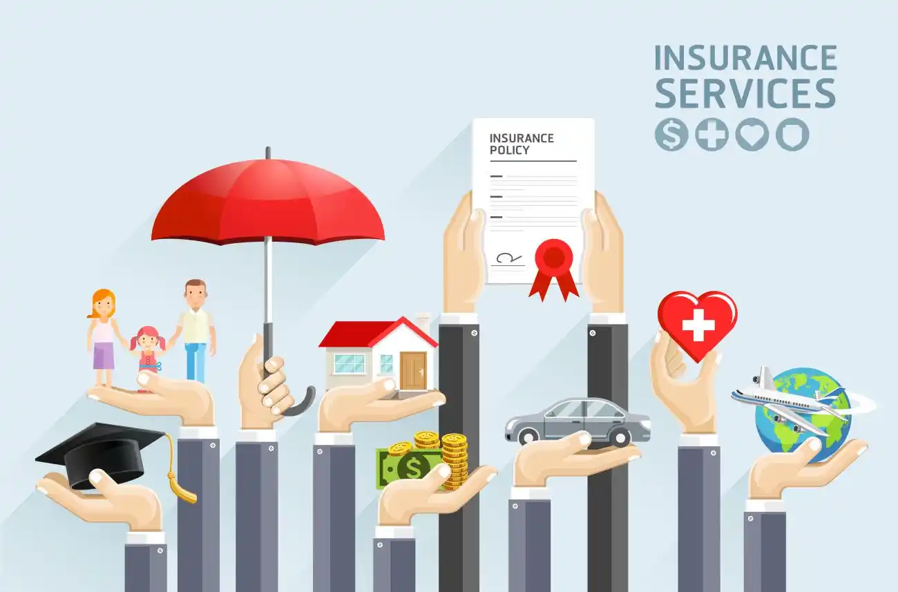 Insurance Types Graphics