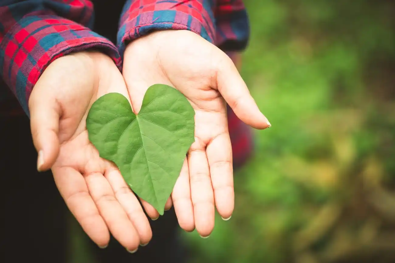 Leaf Heart in Woman's Hands