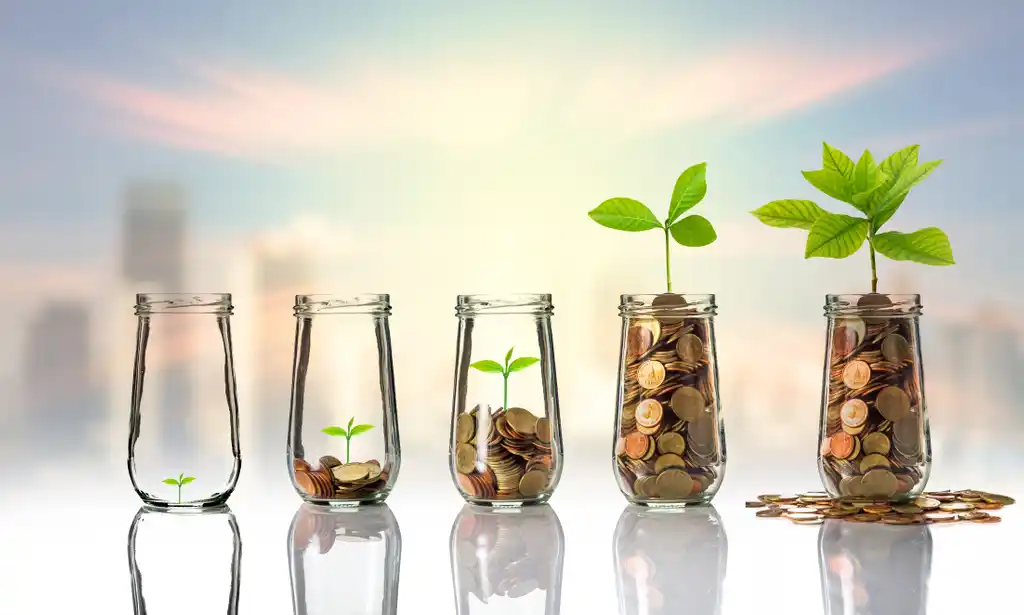 Coin Jars Growing Seedlings