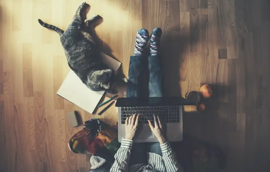 Woman Working from Home with Cat
