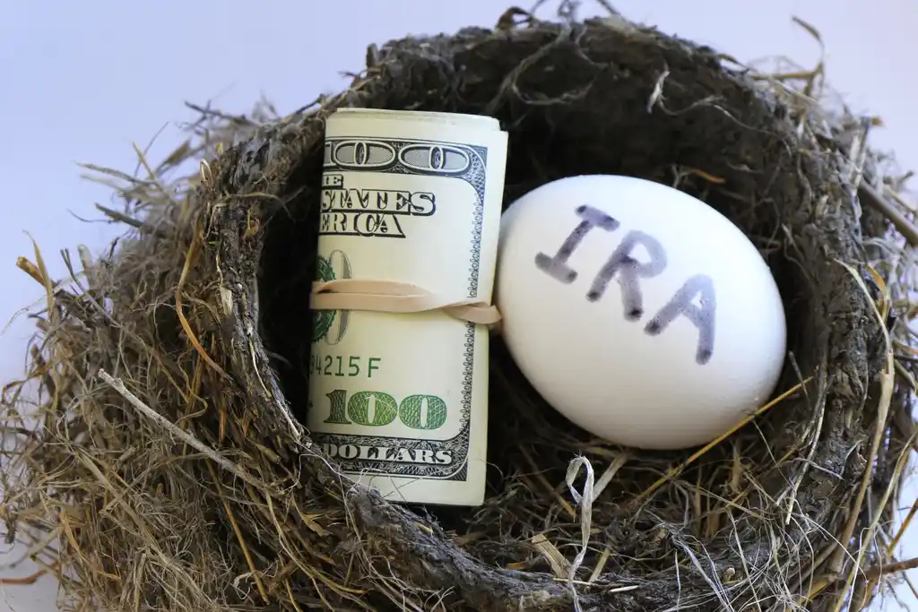 Money Roll & IRA egg in Bird Nest