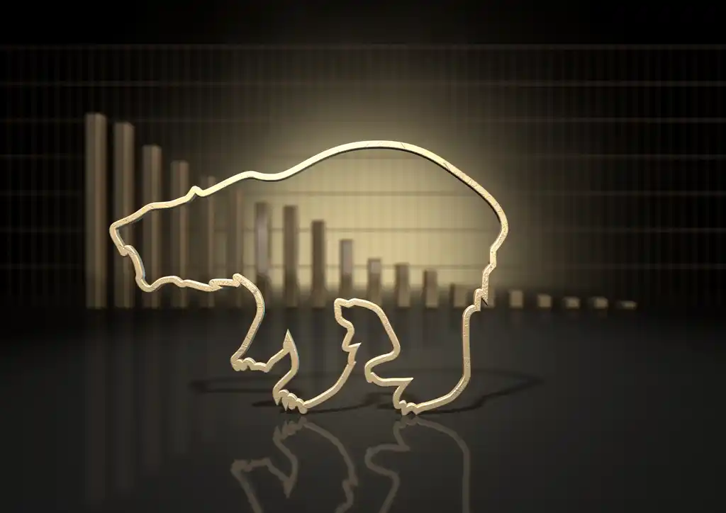 Bear Outline with Decline Graph