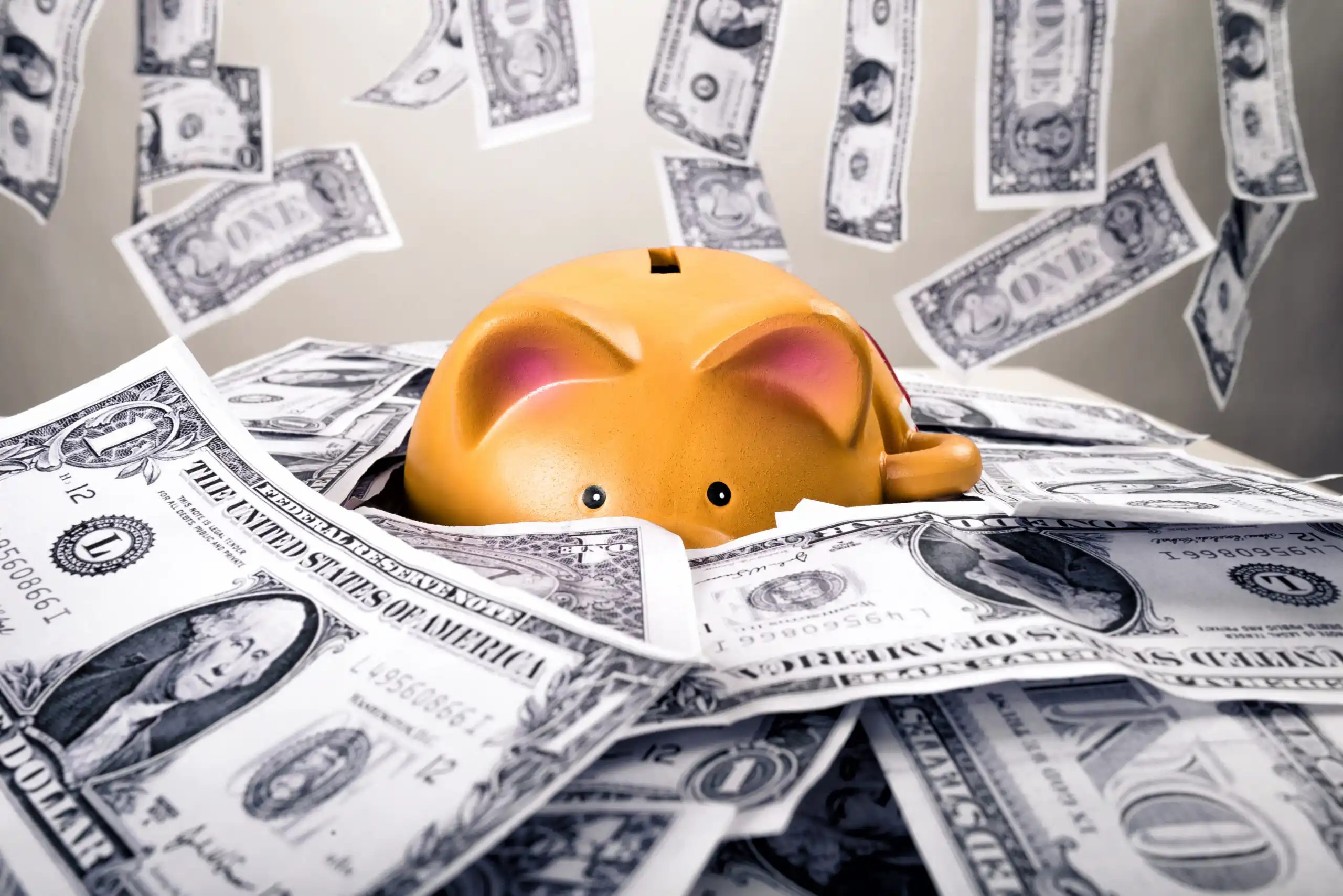 Saving Money in a Piggy Bank