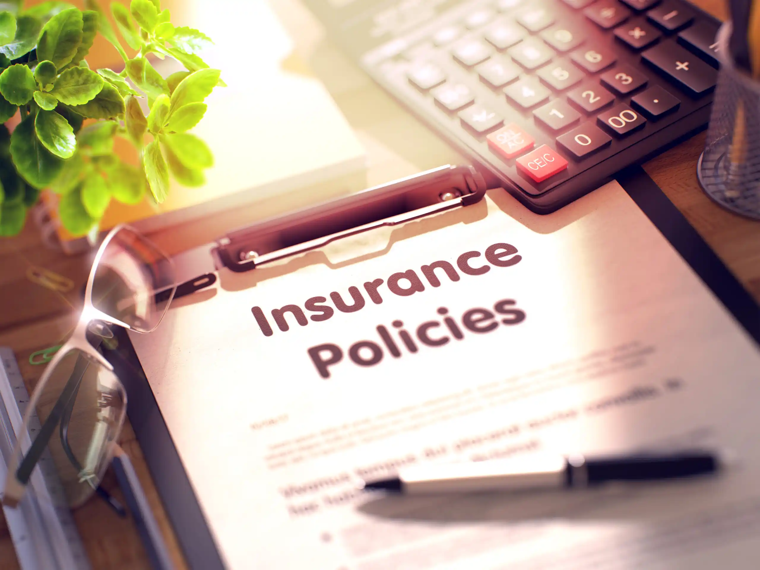 Prepaid Insurance Policy Documents
