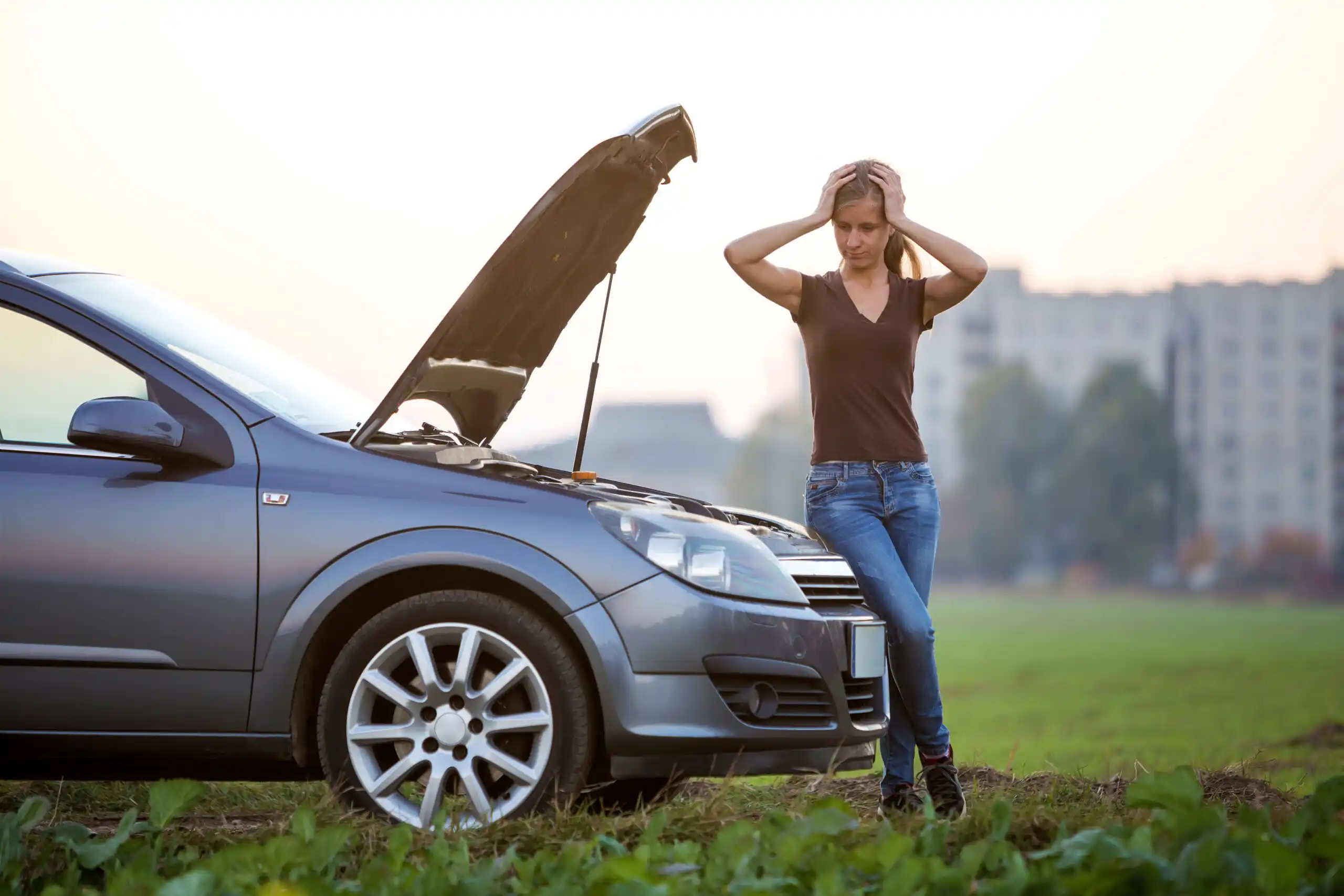 Mechanical Breakdown Insurance