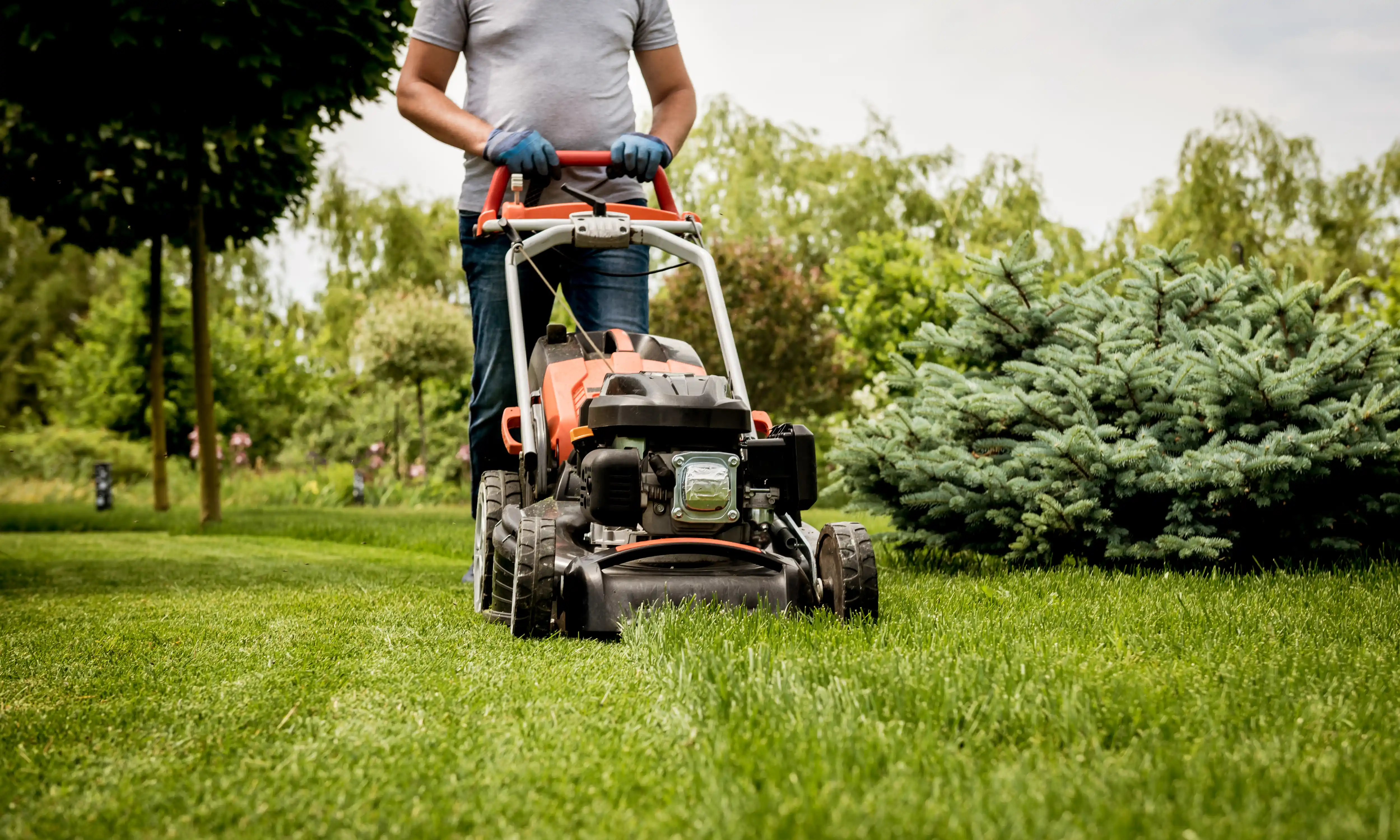 Lawn and Landscaping Service Costs: How Much Should You Expect to Pay?