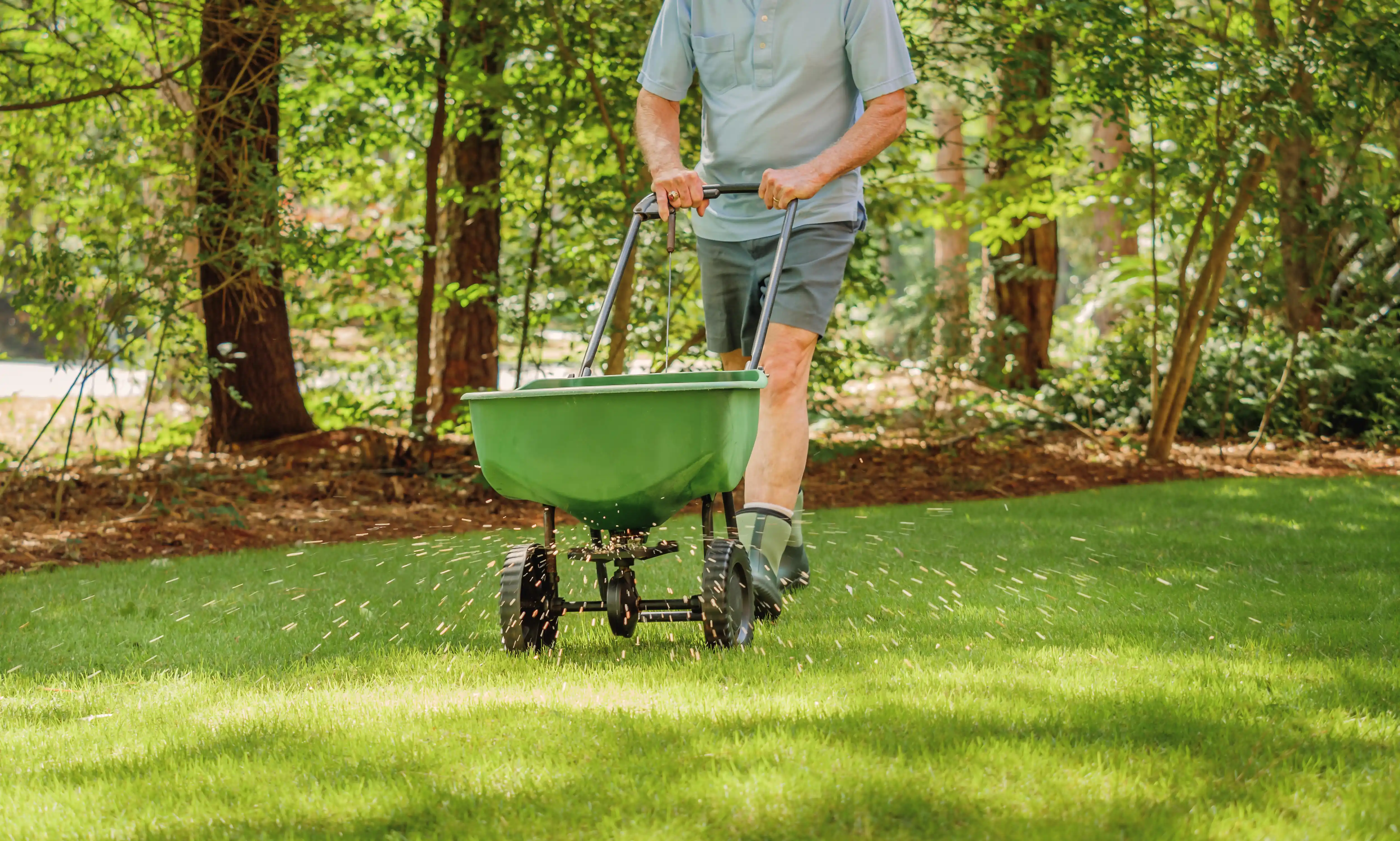 Lawn Fertilization Costs: How Much Should You Expect to Spend?