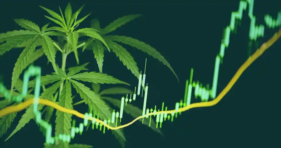 Should You Invest In The Cannabis Industry?