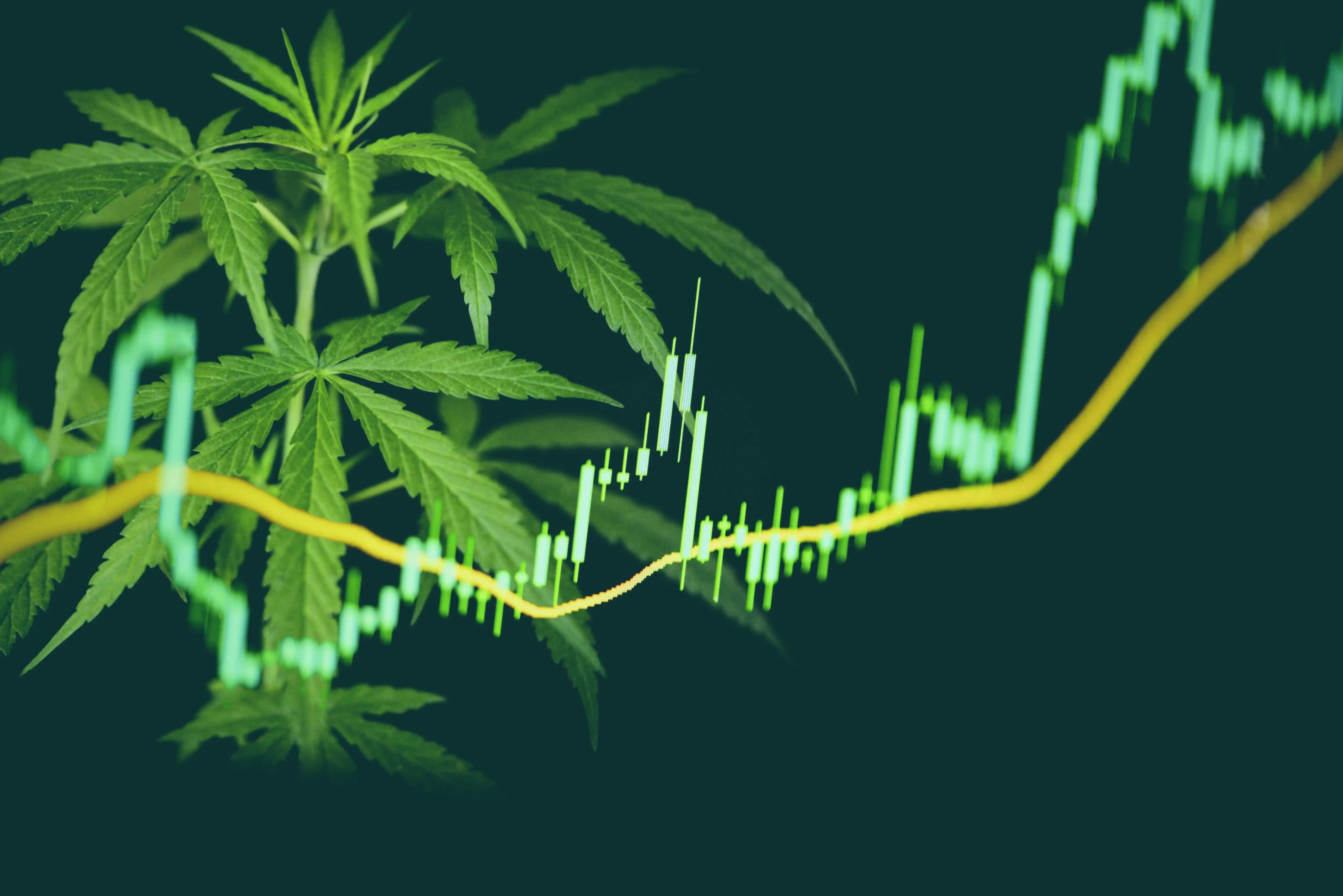 Should You Invest In The Cannabis Industry?