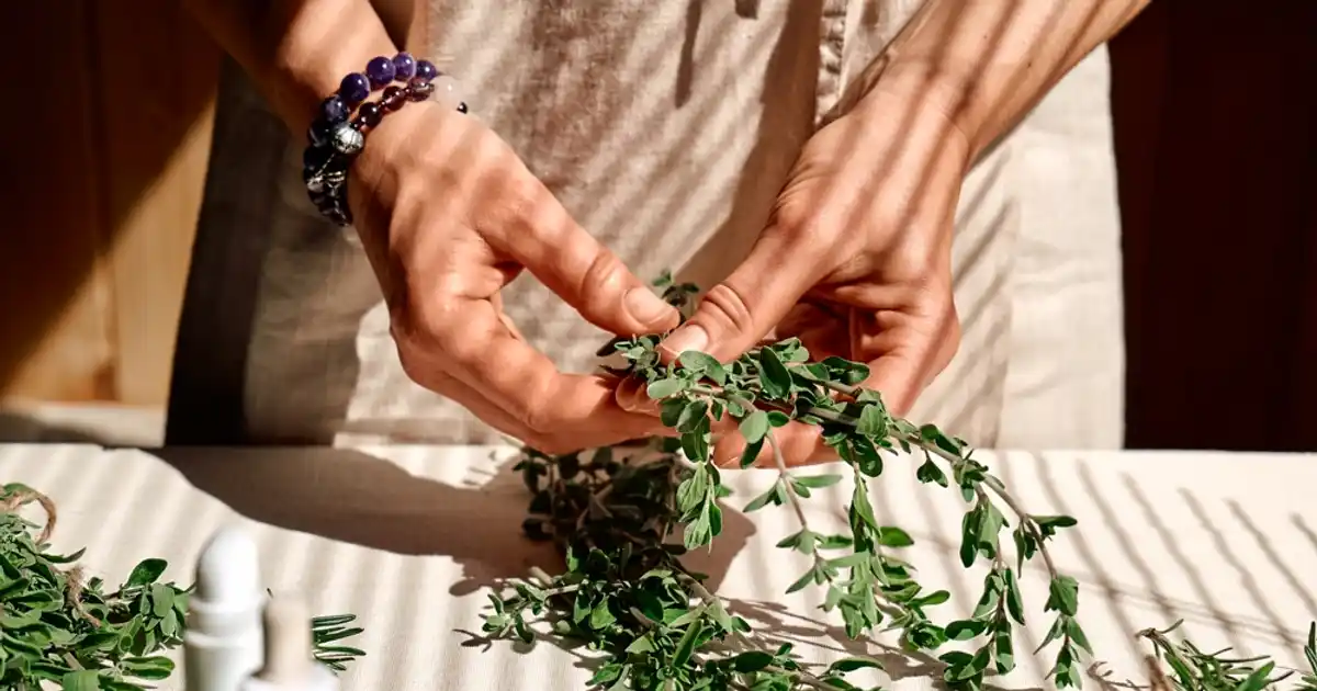 The Path to Herbalist Certification A Guide to Your Green Journey WalletGenius