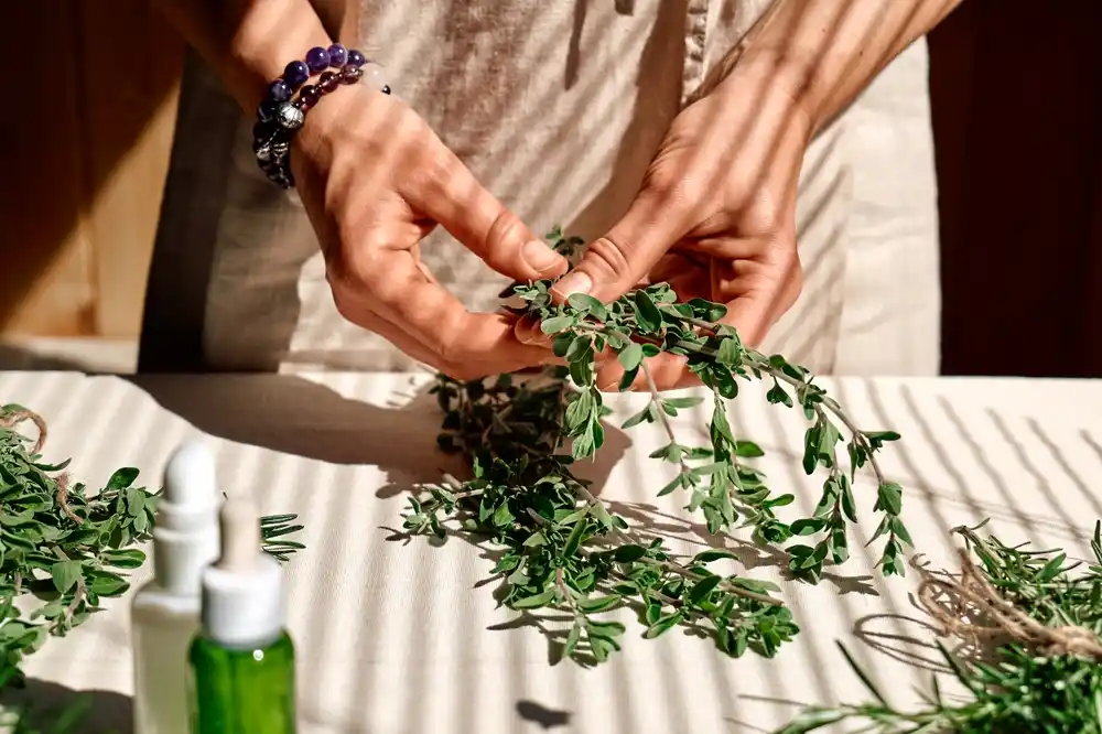 The Path to Herbalist Certification: A Guide to Your Green Journey