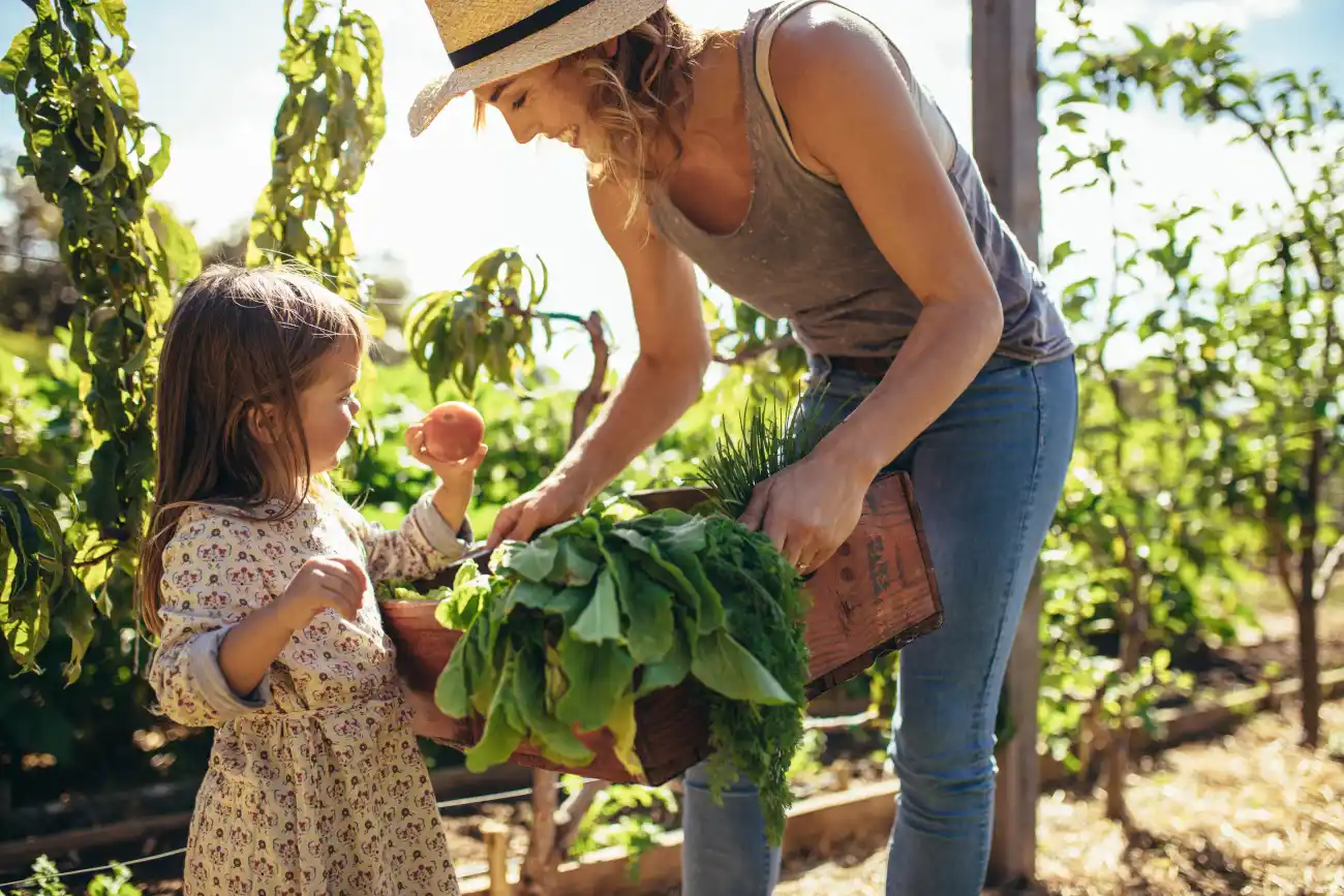 Become an Eco-Farmer: Where to Find a Sustainable Farming Course Online for Free