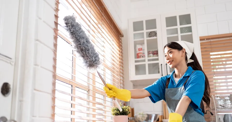 Professional Cleaning Services