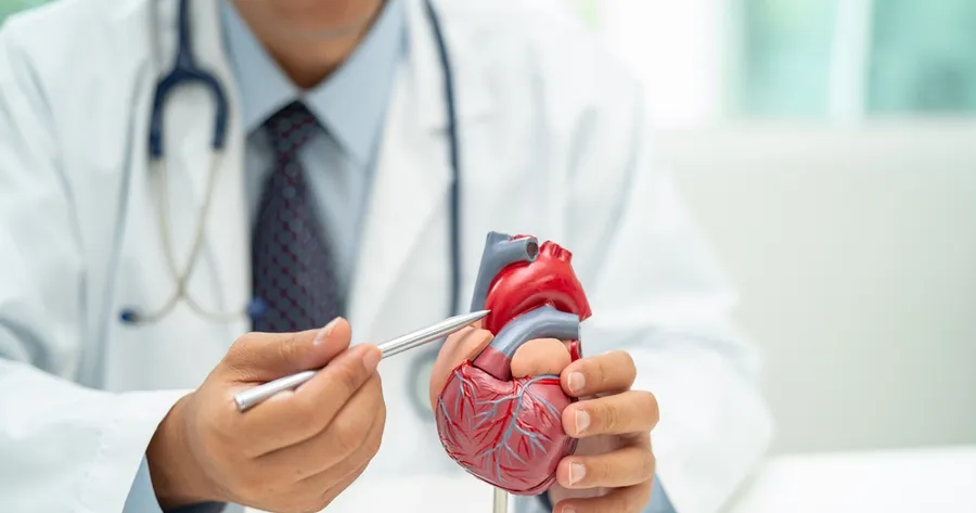 Consulting a Top Cardiologist: When and Why It Matters for Your Heart Health