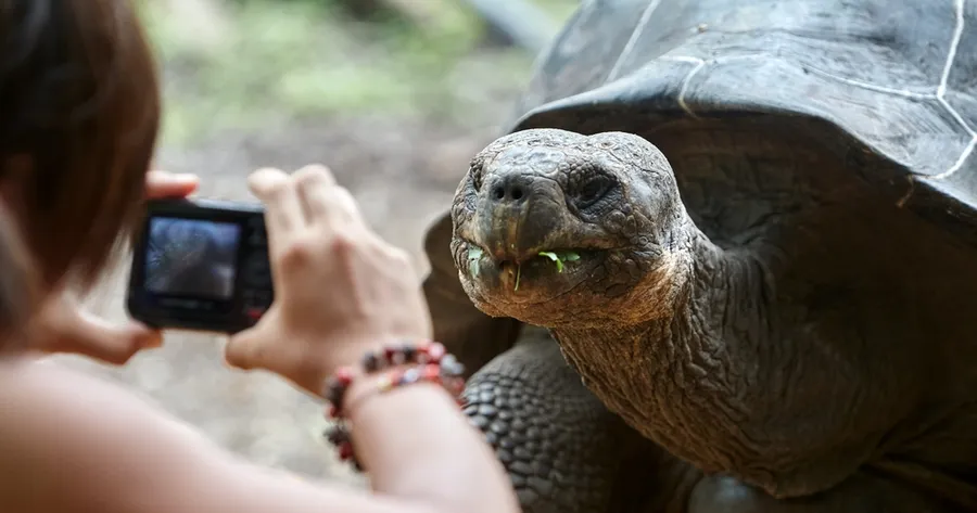 Luxury Adventure Awaits on the Silversea Silver Galapagos Cruise