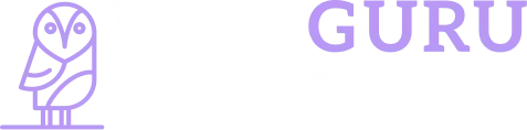 Wise Guru Solutions logo